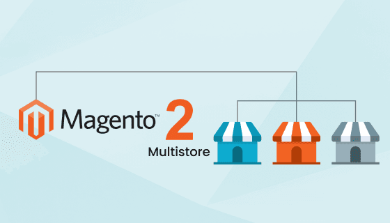 Magento 2 Multi-Store Set Up