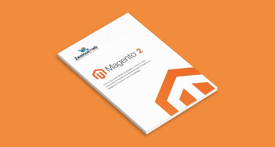 Magento 2 eBook